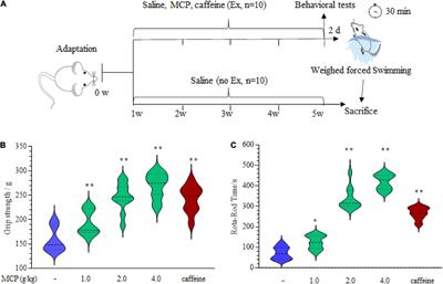 Deciphering the potential role of Maca compounds prescription influencing gut microbiota in the management of exercise-induced fatigue by integrative genomic analysis